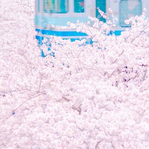 久久国产亚洲精品AV香蕉
