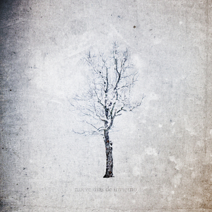 久久国产亚洲精品AV香蕉
