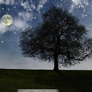 久久国产亚洲精品AV香蕉
